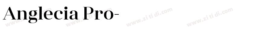 Anglecia Pro字体转换